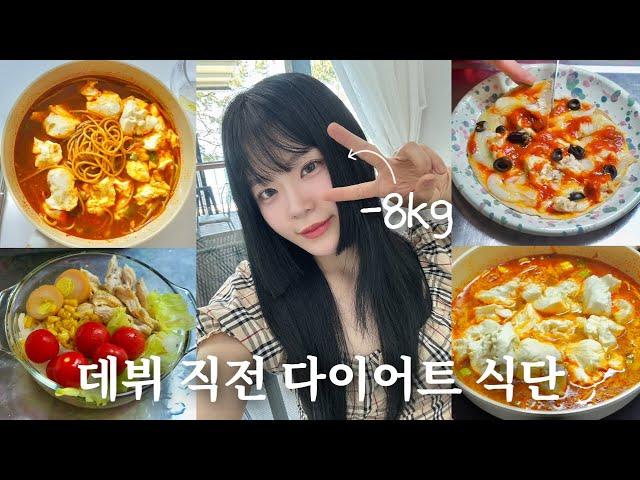 A collection of dishes I ate after losing 8kg and before debut