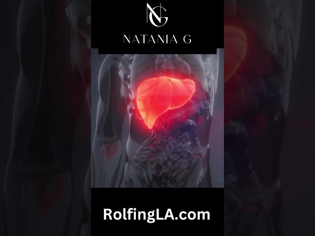 Visceral Manipulation for Liver Health | Natania Goldberg, Certified Rolfer in Santa Monica