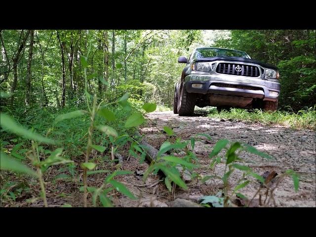 Forest Service 4WD Road 98 - Chattahoochee National Forest