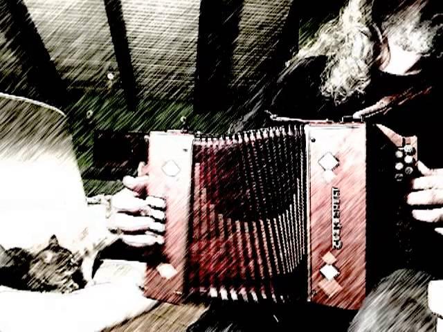 les novis (Stephane Delicq) accordeon diatonique