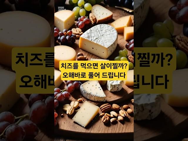 치즈를 먹어야 하는 이유 #건강  #shorts #건강쇼츠# 치즈영양 #치즈 #집중력 #칼슘 #cheese