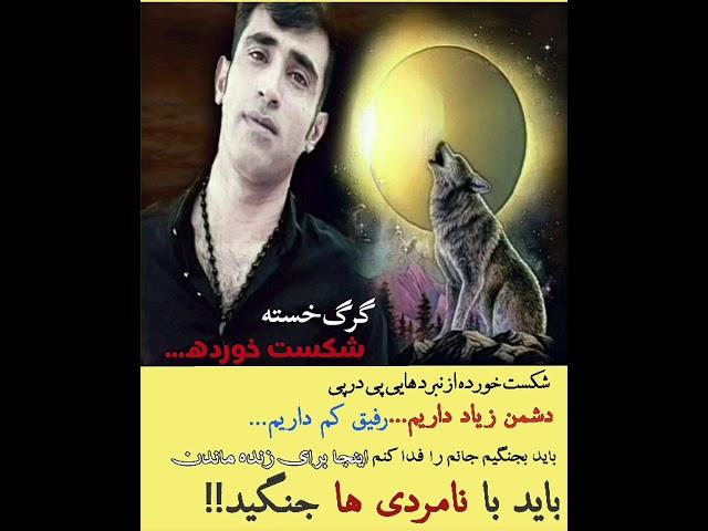 #رفیق#نامرد#گرگ