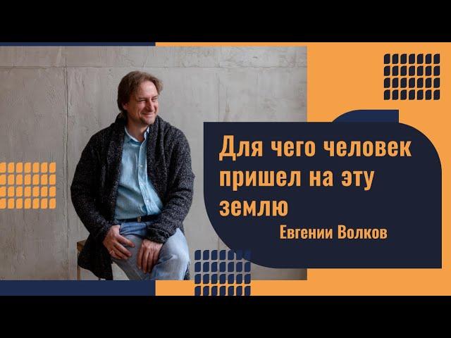Для чего человек пришел на эту землю. Психолог Евгений Волков.