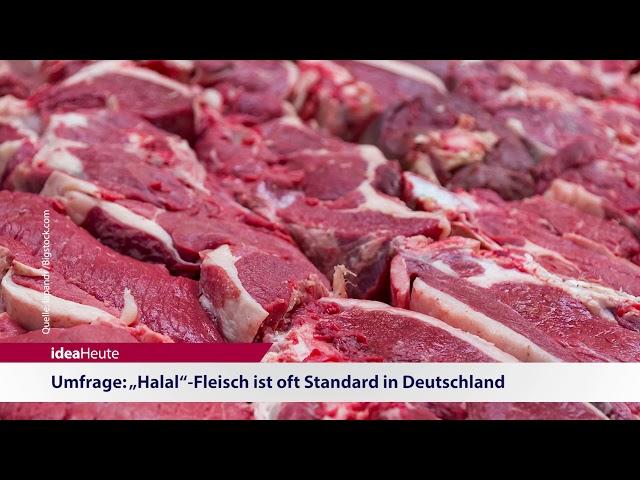 ideaHeute 17 07 2018 - Nicaragua - „Halal“-Fleisch - Affären vorbeugen