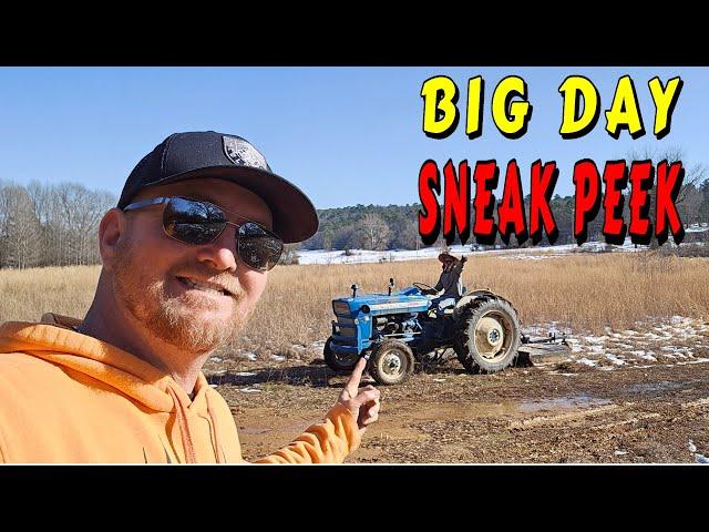 HUGE DAY SEE IT FIRST |tiny house, homesteading, off-grid, cabin build, DIY HOW TO sawmill tractor