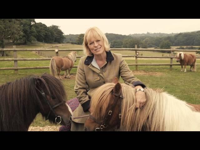 Shetland Pony Club TV Trailer