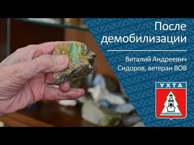 После демобилизации