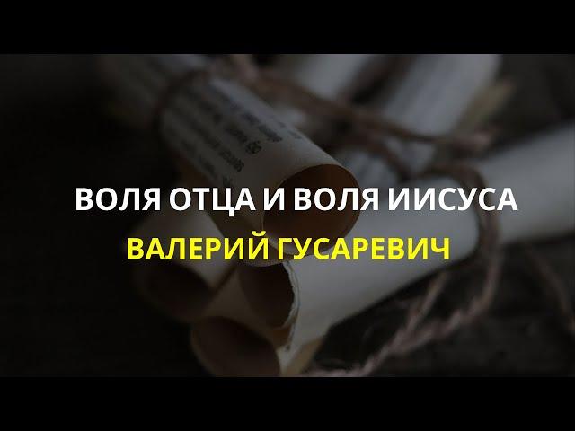 Валерий Гусаревич - Воля Отца и воля Иисуса. Платформа «Династия апостолов и пророков»