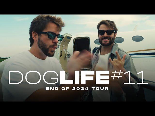 DOGLIFE #11 @ End of 2024 Tour