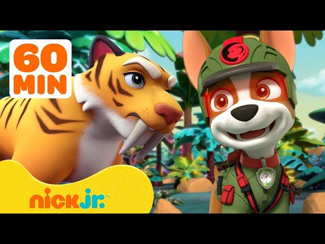 PAW Patrol's Jungle Pups Rescue Giant Animals!  w/ Marshall & Tracker | 1 Hour | Nick Jr.