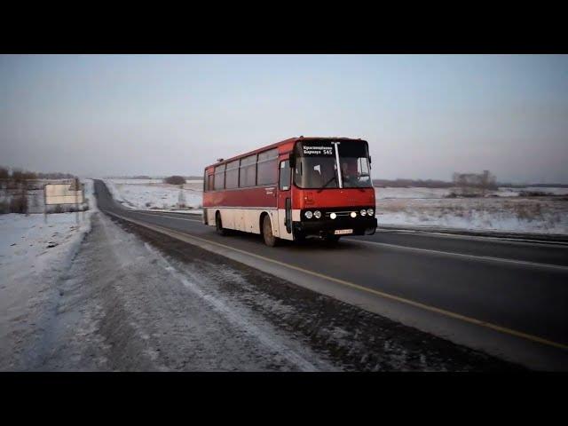 Автобус Икарус (Ikarus 256)(В 973 УХ 22)(1080р). Звук воющего моста RABA+закат.