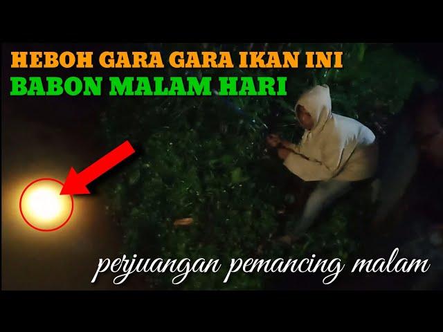 INDUK IKAN INI BIKIN HEBOH KAMI SEMUA || MANCING MALAM YANG MENGASIKAN