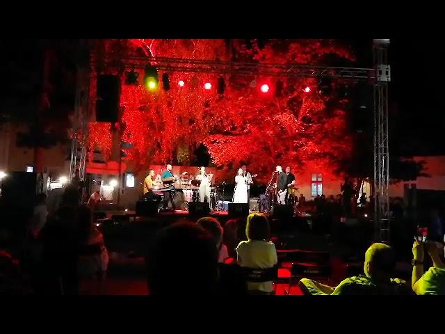 EJO/Ethno Jazz Orchestra - Ptica live @ Arlemm