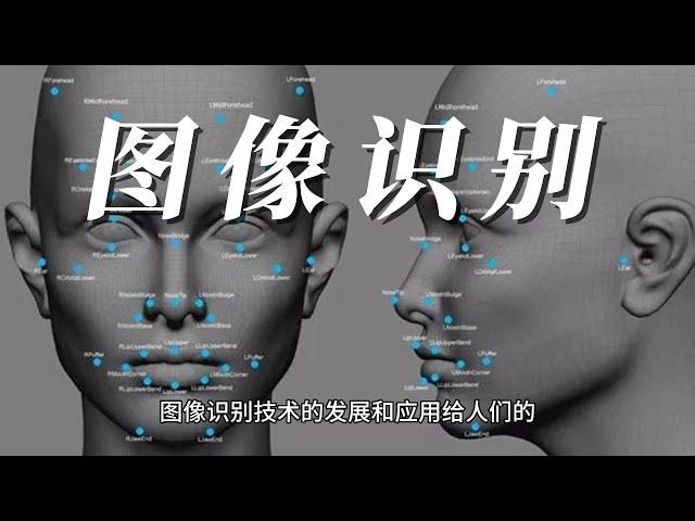 图像识别（Image Recognition）