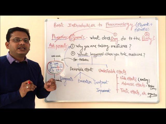 Pharmacokinetic and Pharmacodynamic | General Pharmacology | General Pharmacology | ADME Concepts