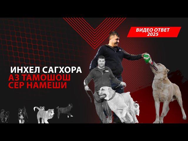 ИНХЕЛ САГХОРА АЗ ТАМОШОШ СЕР НАМЕШИ