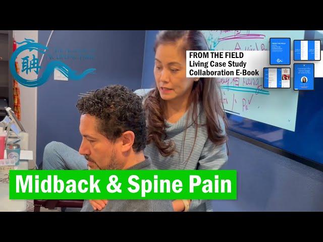 Midback Spine Pain #eileenhan #theacademyofacupuncture #balancemethodacupuncture #韓玉齡 #譚針