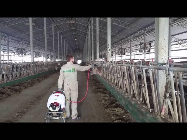 Обработка от мух Екатеринаславское. (Обробка від мух)