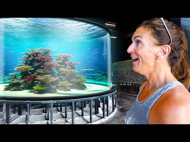 Mom Reacts To Massive Shark Tank!!