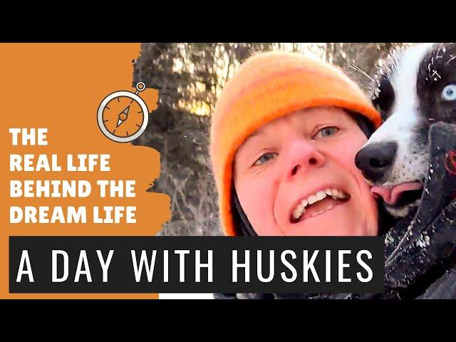 Sled dog mushing and its daily routines