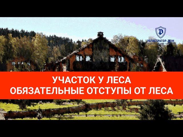 Земельный участок у леса - обязательные отступы от леса при строительстве дома. #земельныйучасток