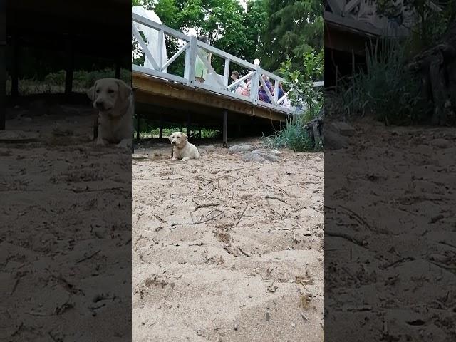 Успенский Андрей