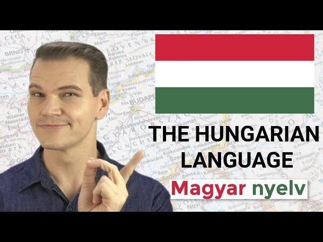 MAGYAR NYELV! The Hungarian Language is MINDBLOWING