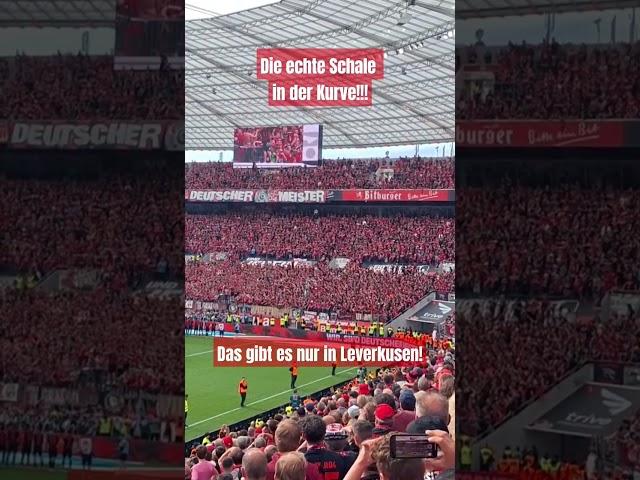 Die echte Meisterschale in der Kurve! Das gibt es nur in Lev! #bundesliga#farbenstadt #bayer04