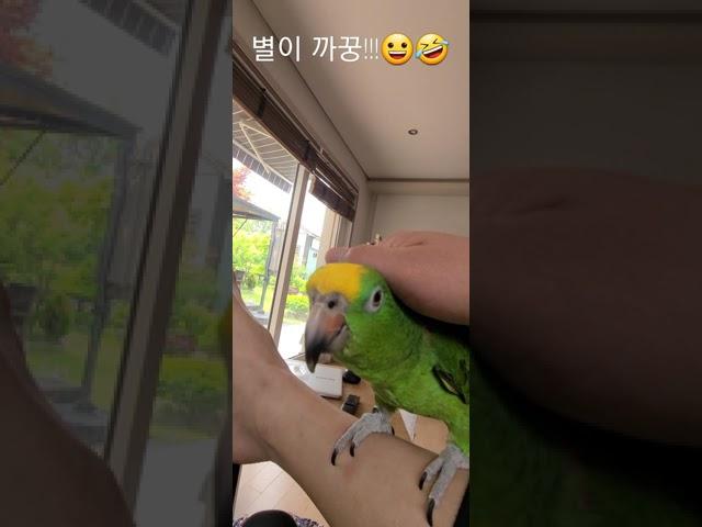 까꿍!! 