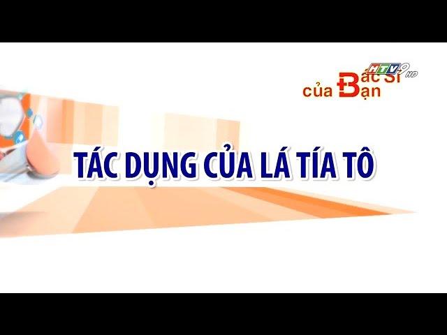 Công dụng lá tía tô | Bác Sĩ Của Bạn || 2021