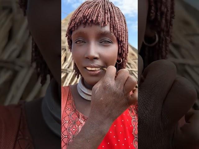 Hamer | tribes omo valley #africantribe #shortvideo #short