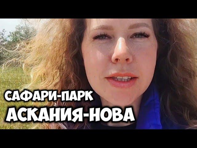 УЕХАЛИ из КРЫМА. Не ожидали такое! Аскания - Нова Приехали в биотический заповедник. Спасибо Тайган