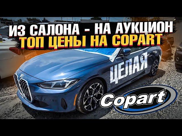ГДЕ ТАКИЕ ЦЕНЫ?! Аукцион COPART - АВТО ИЗ США в Майами! BMW, AUDI на Копарт!