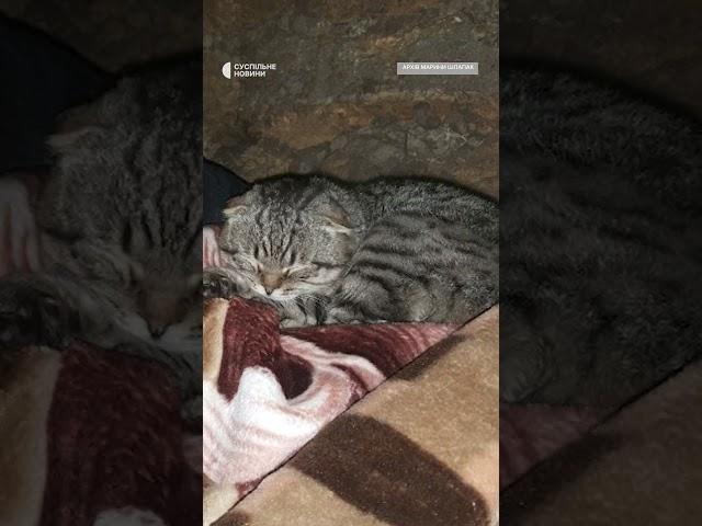 У 12 років написав щоденник війни