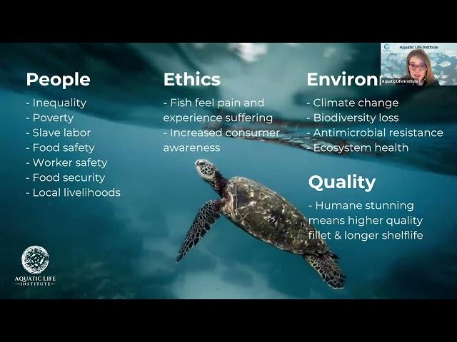 Aquatic Animal Welfare 101: Corporate Sector