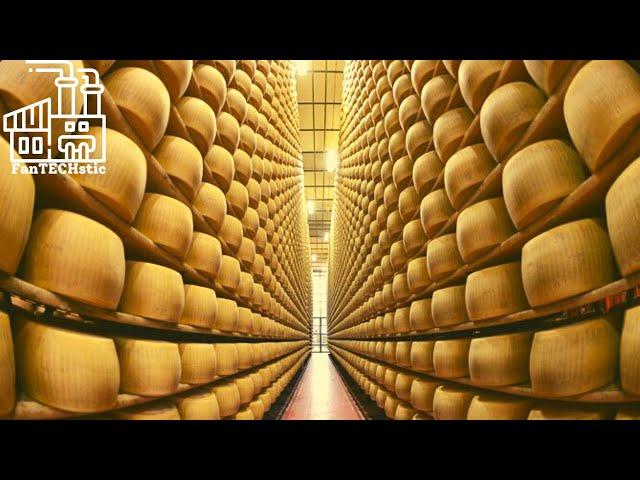 Ever Wondered How Cheese Is Made?! Join us on this FanTECHstic Factory Tour!