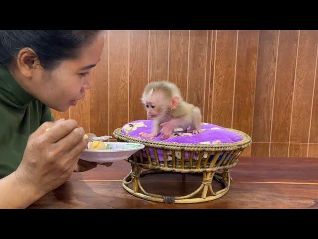 Smallest A Tong Eagerly To Taste Boiled Eqq Recipes