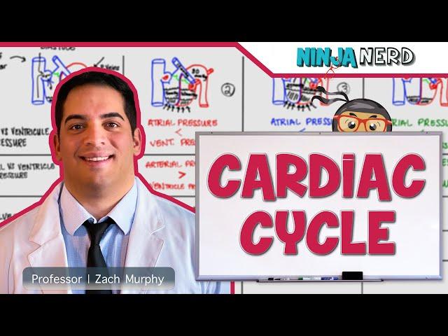Cardiovascular | Cardiac Cycle