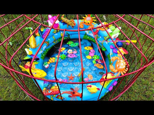 Wow It's Fun Fishing for Ornamental Fish in Confinement, Real Turtles, Ducks, Swans, Catfish