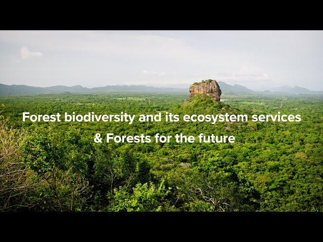 Introducing Today's Theme: Forest biodiversity and its ecosystem services & Forests for the future