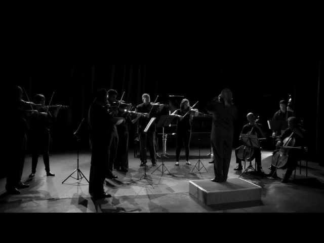 SARABANDE - G. F. Händel / Camerata Cambrensis