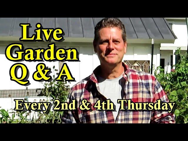 Garden Grounds E-40 Live Q & A: Live Garden Questions Answered -  Neem Oil Spray