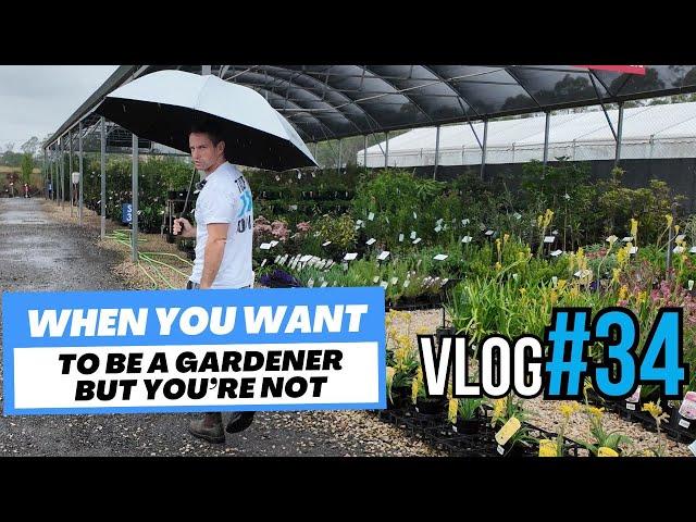 Turf And Tools VLOG #34 Every plant I buy dies (it's not them, it's me...)