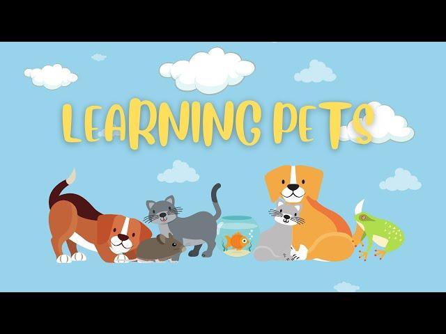 Learning Pets | Kids Learning Video