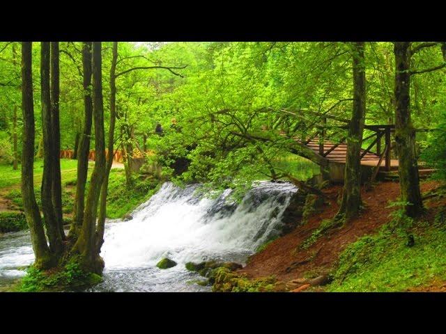 Vrelo Bosne, Sarajevo, Bosnia and Herzegovina