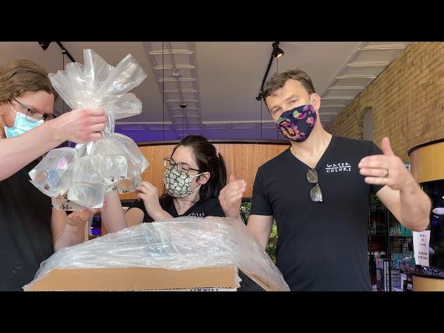 Sustainable Aquatics Unboxing: We've Got Clownfish!