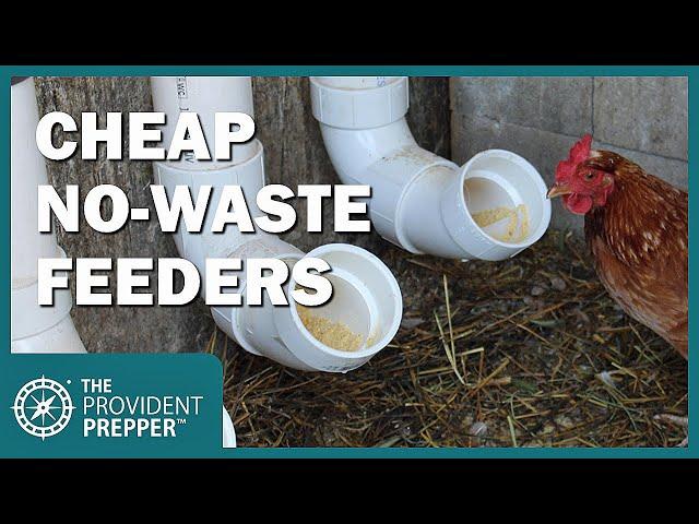 How to Make an Inexpensive Chicken Feeder to Reduce Waste