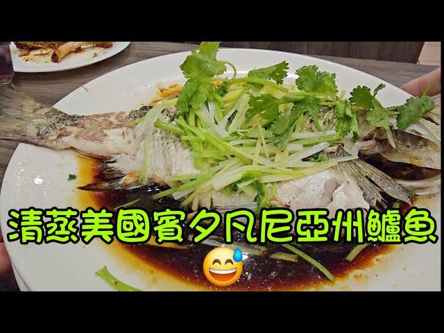 美國賓洲鱸魚#多倫多#加拿大