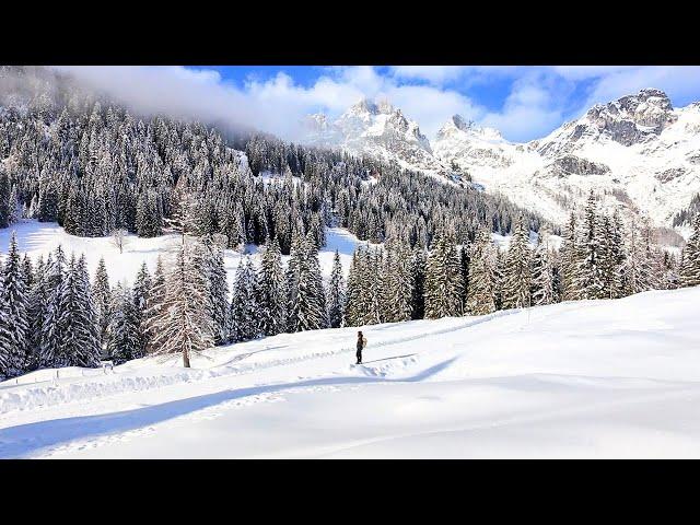 I did a snow hike through an Austrian winter wonderland