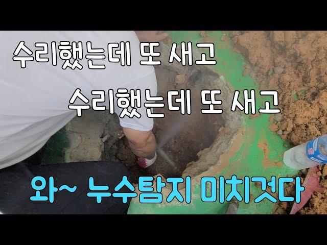 249회.  4개월동안 못 잡은누수 1시간만에 해결하는 방법 (화성누수현장)